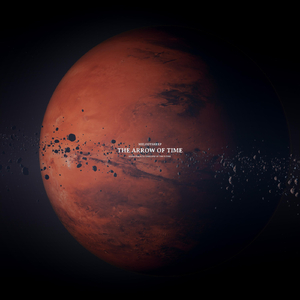 国产成人精品AA毛片
