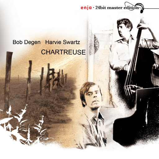 国产成人精品AA毛片
